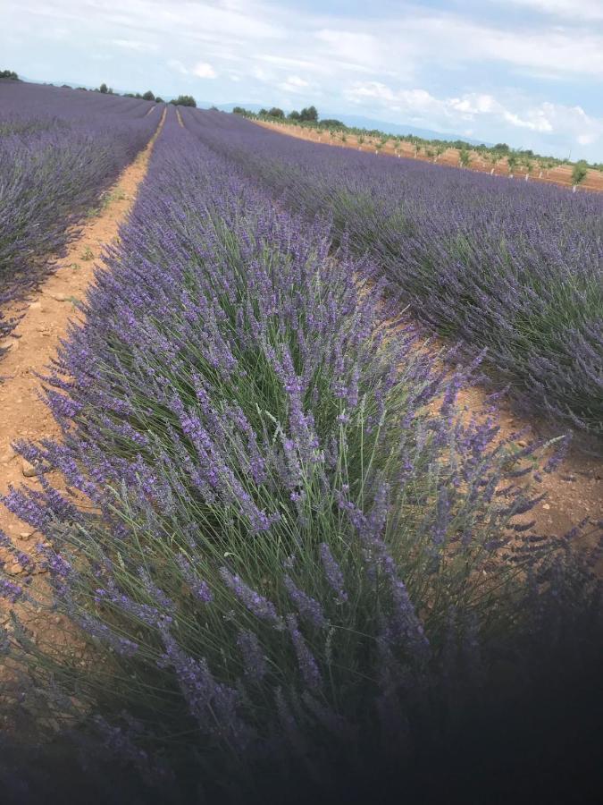 L' Esmerand Cotignac Buitenkant foto